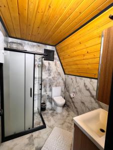 a bathroom with a toilet and a wooden ceiling at AĞARaN SUİT BUNGALOV in Rize +37 photos