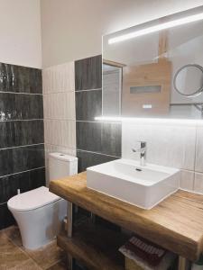 Koupelna v ubytování La Chouette - Ancienne grange entièrement rénovée 4 personnes + 24 fotografií