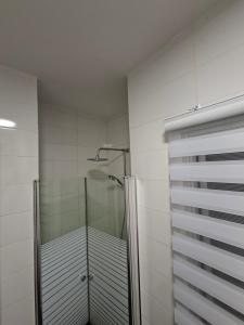 a shower with a glass door in a bathroom at Histadrout street 3 bedrooms central Ashdod in Ashdod +13 photos