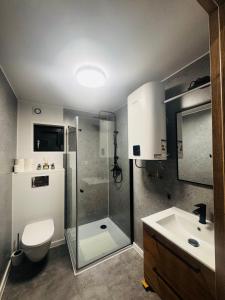 a bathroom with a shower and a toilet and a sink at Zakątek Ldzań in Ldzań +40 photos