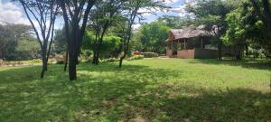 a house in the middle of a yard with trees at Mara Sunset Acacia Camp in Sekenani