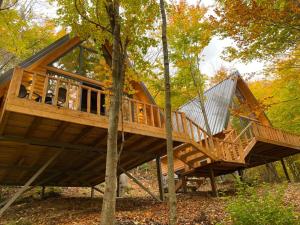 a tree house in the woods with a large deck at Forest Escape in Theth +9 photos