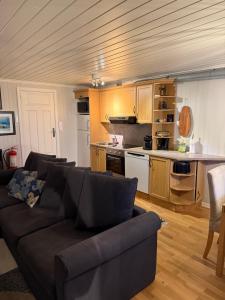 Kuchyň nebo kuchyňský kout v ubytování Åskollen, Drammen