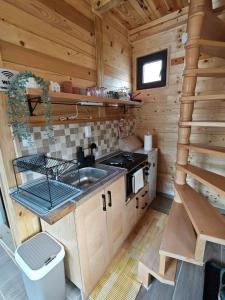 a kitchen with a sink and a stove in a cabin at Vikendica Neven 2 in Zaovine +27 photos