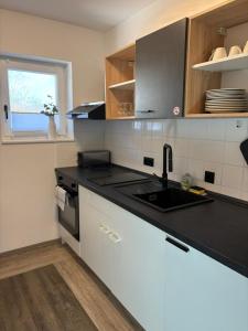 Kuchyň nebo kuchyňský kout v ubytování Danube Rooms Abteistrasse + 21 fotografií