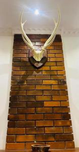 een elandkop met gewei op een bakstenen muur bij Teirack Rosis Wish in Kandy