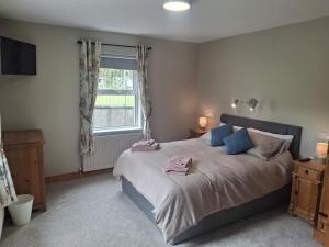 a bedroom with a bed with blue pillows and a window at Redbrae cottage in Carnlough
