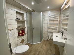a bathroom with a shower and a toilet and a sink at Pension Ostrauer Mühle in Bad Schandau +13 photos