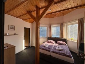 een slaapkamer met een bed met roze kussens erop bij Dvůr Stupice 