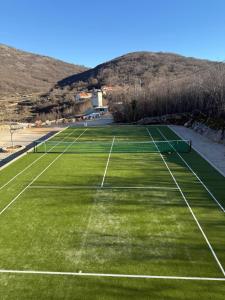 two tennis courts on a grass field at Vila Agape with a pool, football and tennis court in Lovreć