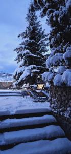 un albero coperto di neve e un muro di pietra e alberi di Hotel Draculaa Bran a Bran