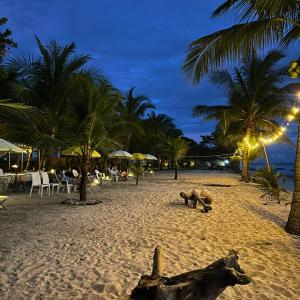 een strand met twee dieren die op het zand liggen bij Gold View Beachfront Resort in Timbaon