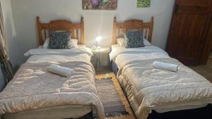 a bedroom with two beds with pillows on them at Ark Gastehuis and Williston Mall in Williston