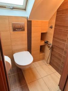 a small bathroom with a toilet and a shower at Terra Siciliana in Łęczyca +27 photos