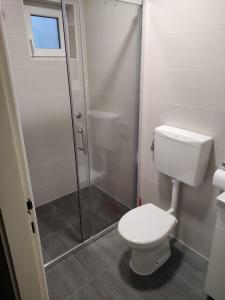a bathroom with a toilet and a glass shower at Dragiv 2 Brdo48 selce in Selce