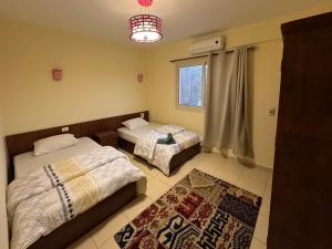 a bedroom with two beds and a window and a rug at Zowaar homes in Dahab