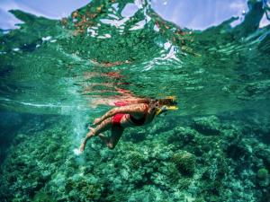 Eine Person schwimmt im Wasser in der Unterkunft Rixos Sharm El Sheikh - Adults Only 18 Plus in Sharm El Sheikh