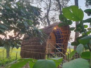 er wordt een boomhut gebouwd in een veld bij Pemsee's Tree Town - Eco Treehouse Hostel in Sauraha