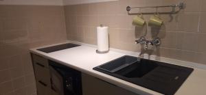 eine Küchentheke mit Spülbecken und einer Rolle Papierhandtücher. in der Unterkunft KWATERA in Danzig + 15 Fotos