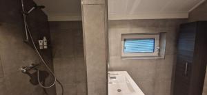 a bathroom with a shower and a sink and a window at Vakantievilla de Broak in Ambt Delden