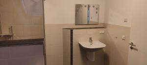 ein Badezimmer mit Waschbecken und Dusche in der Unterkunft Family Room Grüne Auszeit Dresden in Dresden