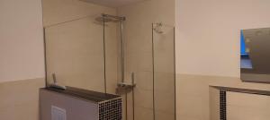 eine Dusche mit Glastür im Badezimmer in der Unterkunft Family Room Grüne Auszeit Dresden in Dresden