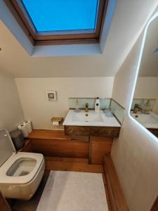 een badkamer met toilet en wastafel bij Cambridge city centre immaculate 2 bed apartment in Cambridge