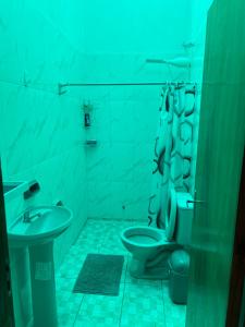 a green bathroom with a toilet and a sink at Departamentos a Pasos de la Basílica in Caacupé