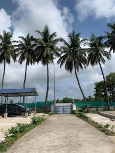 a parking lot with palm trees and a car at Junput Guest House in Bichania