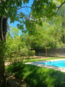 a swimming pool in a yard with trees at Flor de Espinillo Estancia Grande in Estancia Grande