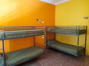2 letti a castello in una camera con parete gialla di pisa train station hostel a Pisa