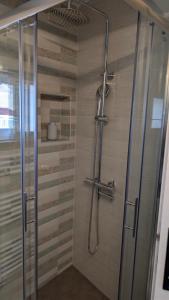 a shower with a glass door in a bathroom at Christina's Studio in Kalabaka
