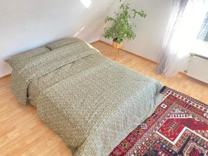 a bedroom with a bed and a rug and a plant at Gemütliche Wohnung mit Berg- und Waldblick in Balingen