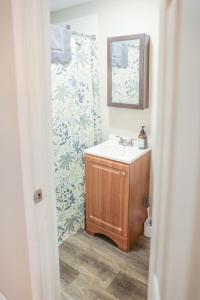 een badkamer met een wastafel en een spiegel bij Modern Cozy Studio in East Windsor