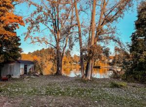 een kleine hut naast een meer met bomen en water bij Modern Cozy Studio in East Windsor