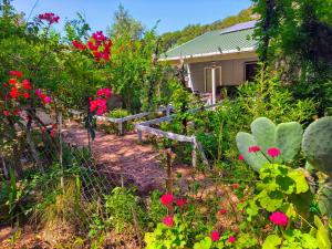 En have udenfor Gelidonia Fenerium Holiday Home + 22 billeder