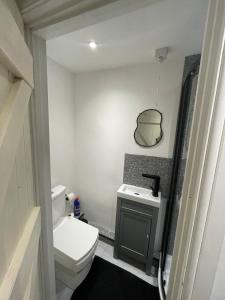 un bagno con un water e un lavandino di Birdellas the eleganant one a Castle Donington Altre 7 foto