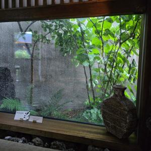 a window with a vase sitting on a window sill at 제주 감성숙소 스테이보스케 in Jeju