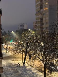 a snow covered park with trees and buildings at night at KMB suite in Nikšić