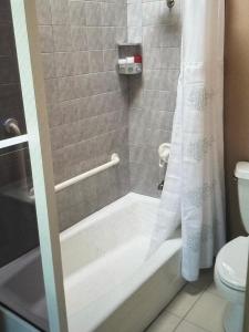 a bathroom with a shower with a tub and a toilet at Superbe Zions Hill Views in Sion Farm