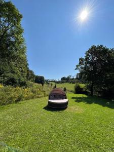 een boot in het gras in een veld bij Ferienwohnung Schmalental in Barntrup