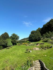 een grasveld met bomen en een blauwe lucht bij Ferienwohnung Schmalental in Barntrup +33 foto's