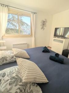 En eller flere senge i et værelse på Charmant T2 150 m de la cure thermale Gorges Du Verdon + 11 billeder