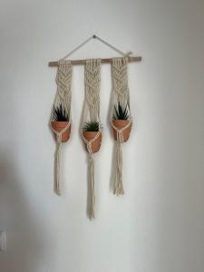 een groep van vier potplanten die aan de muur hangen bij Cosy Vau in Vau