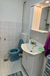 a bathroom with a blue toilet and a sink at Apartman Lana in Pale