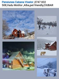 een collage van foto's van een winterlandschap met een huis bij Pensiunea Cabana Viselor ,Apuseni in Vadu Moţilor