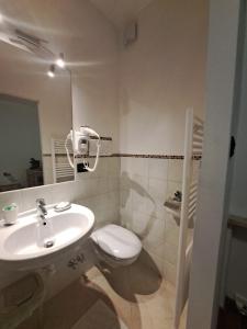 een badkamer met een wastafel, een toilet en een spiegel bij Affittacamere Penasa in Rabbi +2 foto's