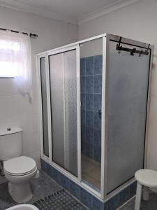 a bathroom with a toilet and a glass shower at Casa de Santa Catarina in Cabo da Praia +10 photos