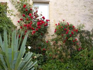 een bos rode bloemen aan de zijkant van een muur bij gariguette in La Celle-sous-Gouzon