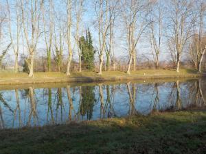 een weerspiegeling van bomen in een waterlichaam bij gariguette in La Celle-sous-Gouzon
